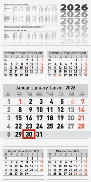 BRUNNEN 1070281006   5-Monatskalender 2026   300×585 mm