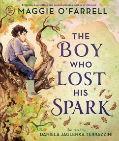 Cover The Boy Who Lost His Spark