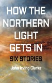 How The Northern Light Gets In (eBook, ePUB) How The Northern Light Gets In (eBook, ePUB)