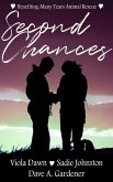 Second Chances (eBook, ePUB)