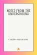 Notes from the Underground (eBook, ePUB) - Bild 1