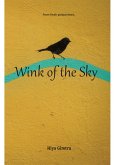 Wink of the Sky (eBook, ePUB) Wink of the Sky (eBook, ePUB)