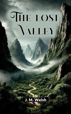 The Lost Valley (eBook, ePUB) - Walsh, J. M.