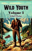 Wild Youth Volume 1 (eBook, ePUB)
