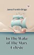 In The Wake Of The Mary Celeste (eBook,... - Bild 1