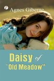 Daisy of "Old Meadow" (eBook, ePUB)