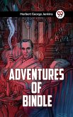 Adventures Of Bindle (eBook, ePUB)