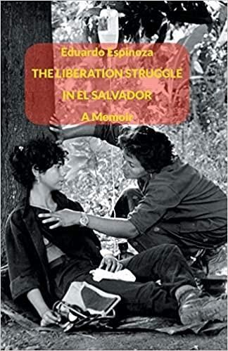 The Liberation Struggle in El Salvador (eBook, ePUB)