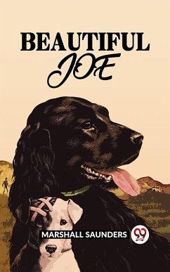 Cover BEAUTIFUL JOE (eBook, ePUB)