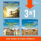 Ein Gentleman in Arles – Mörderische Machenschaften, Gefährliche Geschäfte & Tödliche Täuschung (MP3-Download)