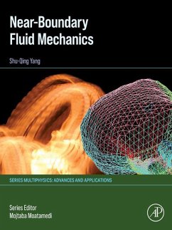 Cover Near-boundary Fluid Mechanics (eBook, ePUB)