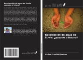 Recolección de agua de lluvia: ¿pasado o futuro? Recolección de agua de lluvia: ¿pasado o futuro?