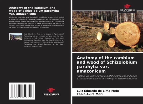 Anatomy of the cambium and wood of Schizolobium parahyba var. amazonicum