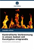 Kontrollierte Verbrennung in einem Gebiet mit Eucalyptus urograndis Kontrollierte Verbrennung in einem Gebiet mit Eucalyptus urograndis