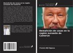 Demolición de casas en la región suroeste de Camerún