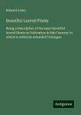 Beautiful Leaved Plants Beautiful Leaved Plants