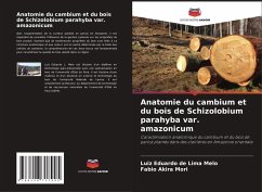 Cover Anatomie du cambium et du bois de Schizolobium parahyba var. amazonicum