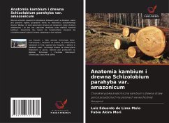 Cover Anatomia kambium i drewna Schizolobium parahyba var. amazonicum