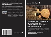 Anatomía del cambium y de la madera de Schizolobium parahyba var. amazonicum