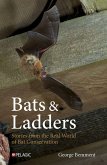Bats & Ladders (eBook, ePUB)