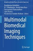 Multimodal Biomedical Imaging Techniques (eBook, PDF)