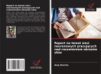 Raport na temat sieci neuronowych pracuj¿cych nad rozumieniem obrazów s¿ów
