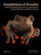 Amphibians of Ecuador (eBook, PDF) - Bild 1