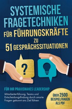 Systemische Fragetechniken für Führungskräfte zu 51 Gesprächssituationen - Für Ihr praxisnahes Leadership - Johanes Falkner