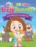 Color Me Now the Big Book (200 Pages of Coloring Fun)