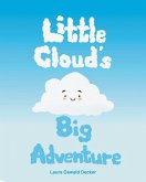 Little Cloud's Big Adventure