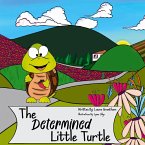 A Determined Little Turtle