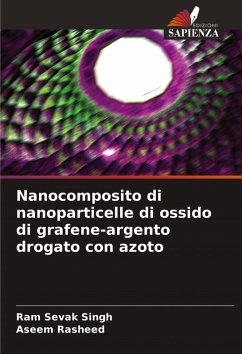 Nanocomposito di nanoparticelle di ossido di grafene-argento drogato con azoto - Singh, Ram Sevak;Rasheed, Aseem