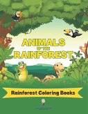 Animals Of The Rainforest