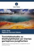 Toxizitätsstudie zu Diethylphthalat an Clarias gariepinus-Jungfischen