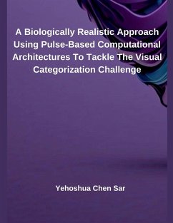 A Biologically Realistic Approach Using Pulse-Based Computational Architectures To Tackle The Visual Categorization Challenge - Sar, Yehoshua Chen
