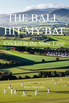 The Ball Hit My Bat The Ball Hit My Bat