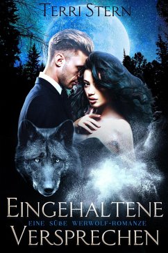 Eingehaltene Versprechen (eBook, ePUB) - Stern, Terri