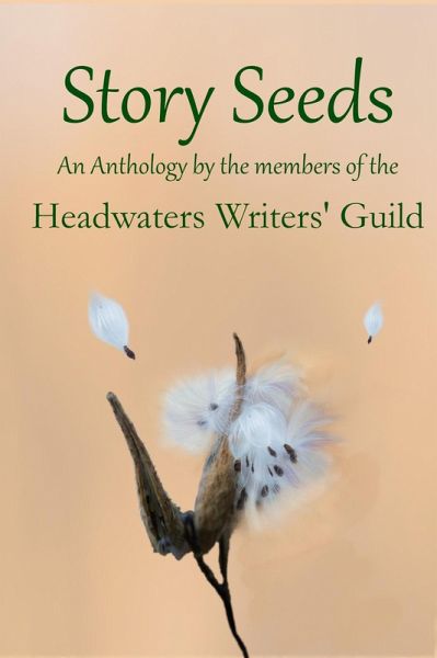 Story Seeds (eBook, ePUB) Story Seeds (eBook, ePUB)