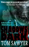 Shadows in the Dark (eBook, ePUB)