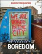 The Sociology of Boredom (eBook, ePUB) - Bild 1