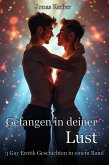 Gefangen in deiner Lust: 3 Gay Erotik Geschichten in einem Band (eBook, ePUB)