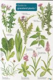 Guide to Grassland Plants 1 Guide to Grassland Plants 1