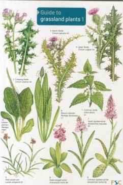 Cover Guide to Grassland Plants 1