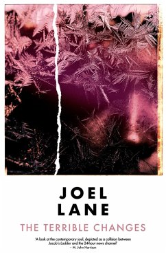 Cover The Terrible Changes (eBook, ePUB)