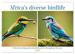 Cover Africa's diverse birdlife (Wall Calendar 2026 DIN A2 landscape), CALVENDO 12 Month Wall Calendar