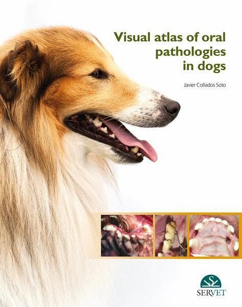 Visual Atlas of Oral Pathologies in Dogs Visual Atlas of Oral Pathologies in Dogs