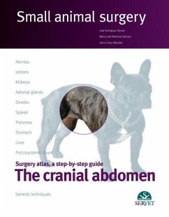Cover The Cranial Abdomen. Small Animal Surgery