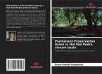 Permanent Preservation Areas in the São Pedro stream basin