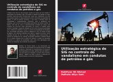 Utilização estratégica de SIG no controlo do vandalismo em condutas de petróleo e gás Utilização estratégica de SIG no controlo do vandalismo em condutas de petróleo e gás