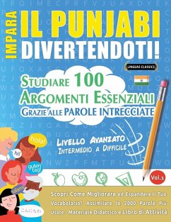 Cover IMPARA IL PUNJABI DIVERTENDOTI! - LIVELLO AVANZATO